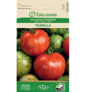 tigerella Jau įpusėjo pomidorų sėjimo, pikavimo ir augimo reikalai :)